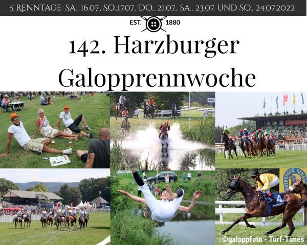 Fünf Renntage stehen bei der 142. Harzburger Galopprennwoche auf dem Programm. ©galoppfoto - Turf-Times