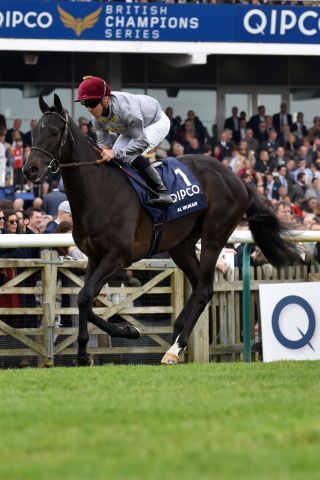 Al Wukair debutiert im Haras de Bouquetot. www.galoppfoto.de - JJ Clark