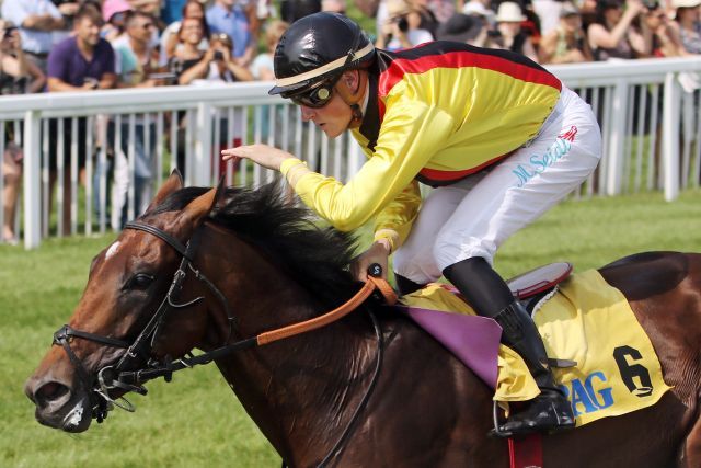 Griff nach den Sternen. Der St. Leger-Sieger Oriental Eagle startet im Prix Royal Oak. www.galoppfoto.de - Sarah Bauer