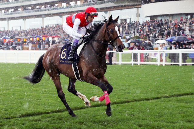 Deirdre unter Yutaka Taka im Regen von Royal Ascot 2019. www.galoppfoto.de