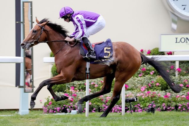 Japan könnte einer der Coolmore-Starter im Grand Prix de Paris sein. www.galoppfoto.de - Sandra Scherning