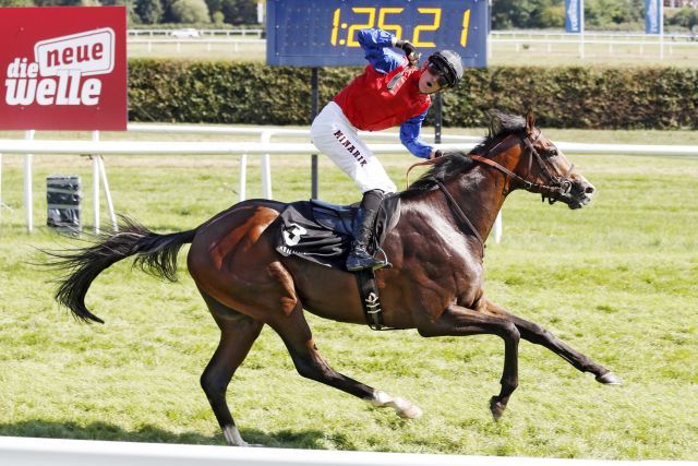 Wer wird der Winterfavorit? Nach Rating steht Alson, Sieger des Zukunftsrennen, in der Favoritenrolle. Er könnte aber auch in Longchamp laufen. www.galoppfoto.de - Sabine Brose