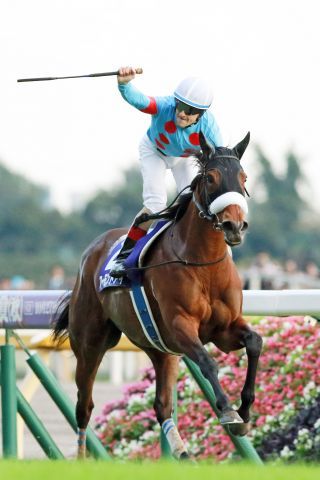 Almond Eye holt sich unter Christophe Lemaire den Tenno Sho. www.galoppfoto.de - Yasuo Ito