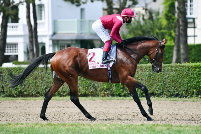 Mishriff hat den Arc ausgelassen, nun geht es für ihn in die Champion Stakes. www.galoppfoto.de - John James Clark