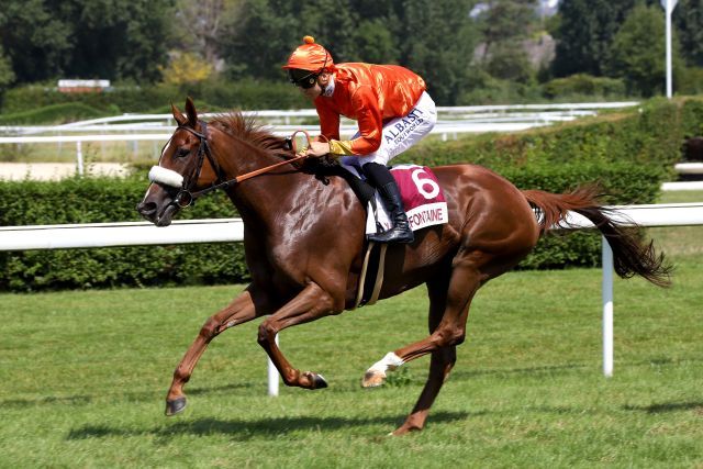 Lalou gewinnt in Clairefontaine und wird anschließend zurückgekauft. www.galoppfoto.de - Sandra Scherning 