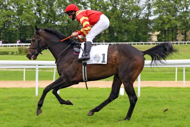 Best Lightning tritt mit Adrie de Vries im Prix Daphnis an. www.galoppfoto.de - Sandra Scherning