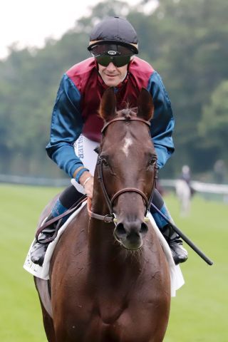 Der Schlenderhaner Mare Australis soll im Grand Prix de Saint-Cloud den nächsten Schritt in Richtung "Arc" gehen. www.galoppfoto.de - Sandra Scherning