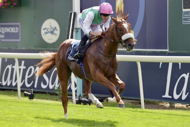 Trotz des missglückten Saisonstarts (er wurde beim Start reiterlos), ist Chaldean einer der Favoriten für die 2000 Guineas. www.galoppfoto.de - John James Clark