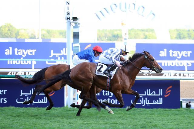 Der diesjährige Dubai Gold Cup-Sieger Broome startet im Curragh Cup am Irish Oaks-Tag. www.galoppfoto.de - Frank Sorge