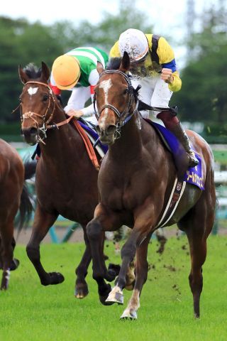 Klassischer Sieg für Sol Oriens in den Japanischen 2.000 Guineas. www.galoppfoto.de - Yasuo Ito