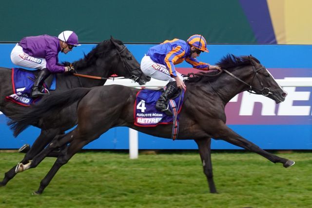 Auguste Rodin gewann Anfang Juni bereits das Epsom Derby. Sonntag kommt es zum Rematch mit dem dripptlatzierten White Birch und dem viertplatzierten Sprewell. www.galoppfoto.de - Frankreich