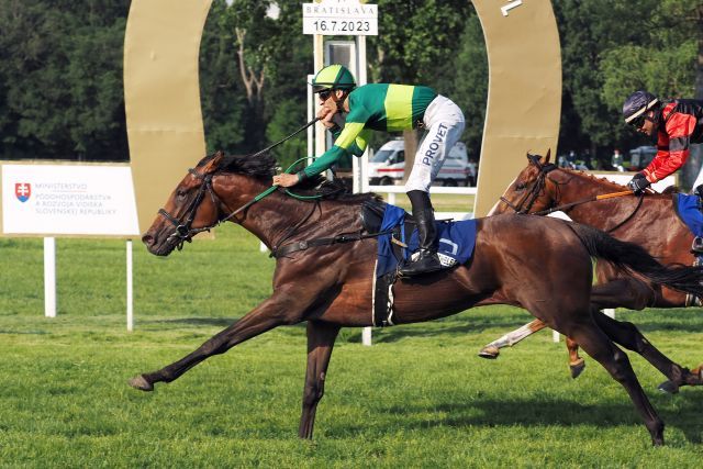 Der Tausend-Euro-Kauf Jardin Michelet gewinnt unter Adam Florian das Derby in Bratislava. www.galoppfoto.de - Petr Guth