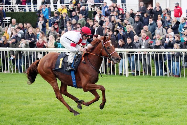 Germanys stayer No. 1: Lordano (Andrasch Starke). www.galoppfoto.de