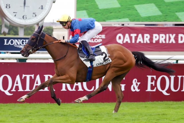 Sparkling Plenty, kürzlich Siegerin im Prix de Sandringham, ist eine chancenreiche Kandidatin im Prix de Diane. www.galoppfoto.de - Sandra Scherning