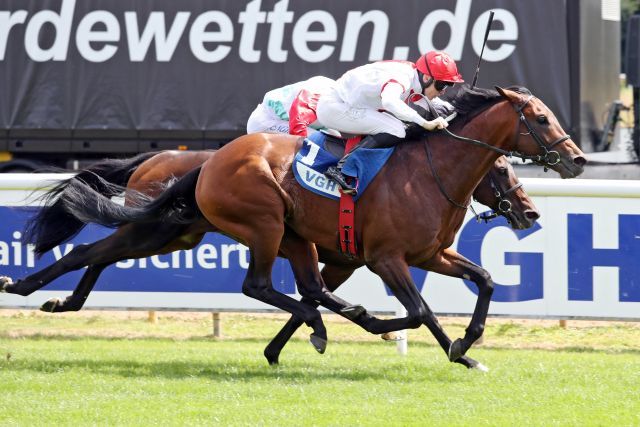 Alessio, hier beim Sieg im Hannover, soll Samstag im Prix Maurice de Nieuil laufen. www.galoppfoto.de - Sabine Brose