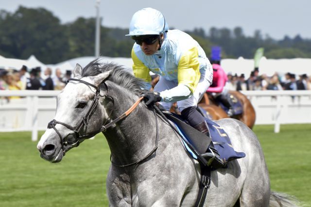 Charyn, hier beim Sieg in den Queen Anne Stakes, soll den nächsten Gr. Treffer in Deauville landen. www.galoppfoto.de - John James Clark