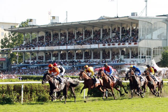 Das Derby-Feld vor der Tribüne - hoffentlich auch bei der 141. Auflage vor großer Kulisse. www.galoppfoto.de