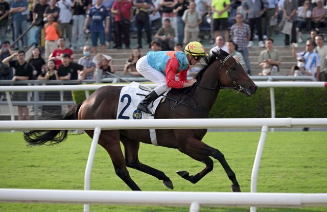 Ka Ying Rising ist in Sha Tin weiter auf Erfolgskurs. Foto: HKJC