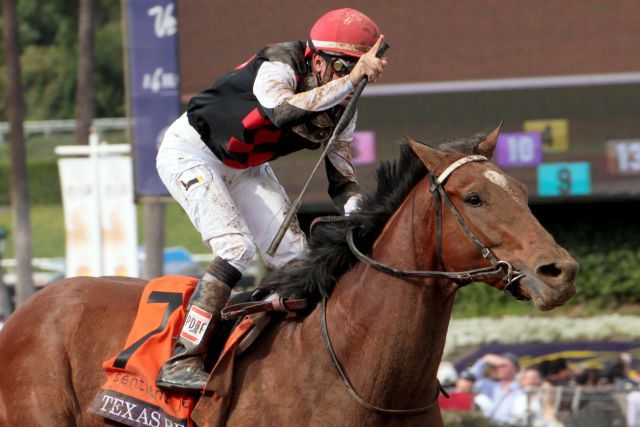 Im vergangenen November siegte Texas Red im Breeders' Cup Juvenile. www.galoppfoto.de - Sandra Scherning