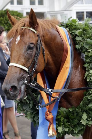 Isfahan nach seinem Derbysieg. www.galoppfoto.de