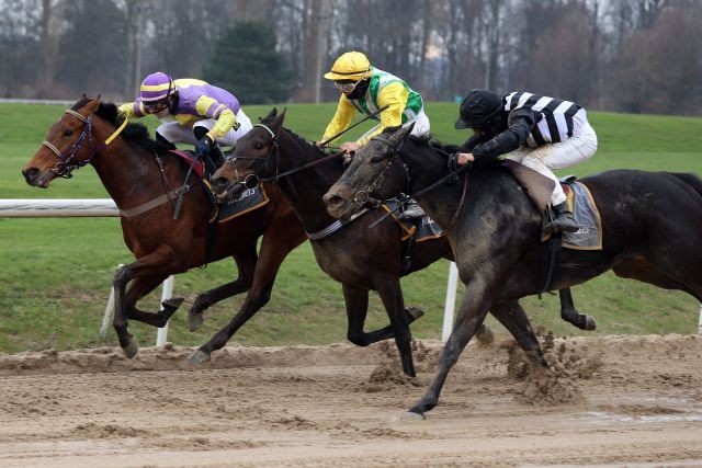 Der letzte Sieger der Wintersaison 2020/21: Karisoke gewinnt mit Lukas Delozier in Dortmund. ©galoppfoto - Stephanie Grundmann