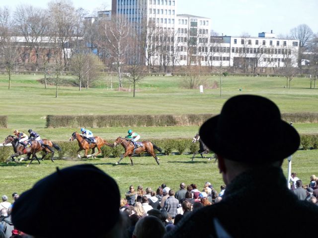 Die Mülheimer Rennbahn unter Beobachtung. Foto Karina Strübbe