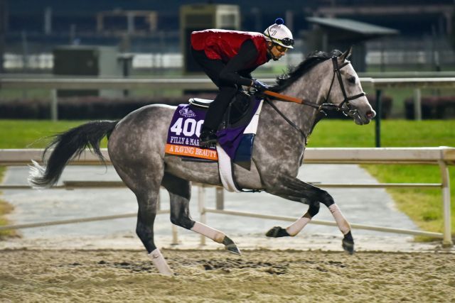 A Raving Beauty vergangenes Jahr in Churchill Downs. www.galoppfoto.de - JJ Clark