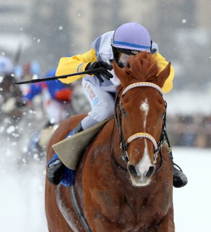 African Art mit Freddy di Fede gewinnt den Guebelin 73. Grossen Preis von St. Moritz. www.galoppfoto.de - Frank Sorge