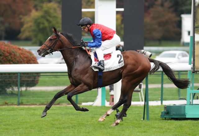 Gegen nur einen Gegner gewann Gestüt Schlenderhans Alson mit Frankie Dettori das Criterium International im Handgalopp. Foto: Dr. Jens Fuchs