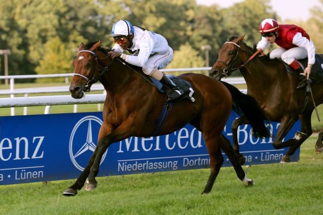 Gelingt Altano mit Eduardo Pedroza die Titelverteidigung im Deutschen St. Leger. www.klatuso.com - Klaus-Jörg Tuchel