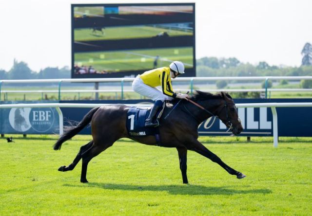 Ambiente Friendly bringt sich für das Epsom Derby ins Gespräch. Foto: courtesy by Coolmore