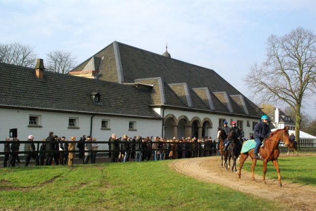 Großer Andrang herrrscht beim Züchtertreff in Röttgen, wo sich auch die Zweijährigen des neuen Trainer Markus Klug unter Sattel präsentieren. www.dequia.de