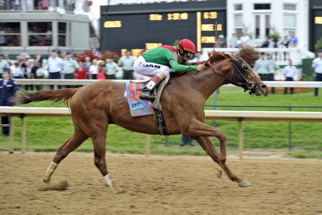 Animal Kingdom (John Velazquez) gewinnt das 137. Kentucky Derby. Foto www.galoppfoto.de -  Peo Ploff