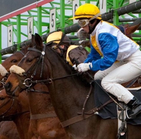 Sabrina Wandt gewann am letzten Renntag gleich dreimal, auch mit der Nummer 5, Annankrista im Tiger Hill-Rennen. Foto: Frank Nolting