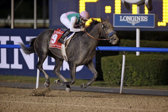 Arrogate bei seinem Sieg im Dubai World Cup. www.galoppfoto.de