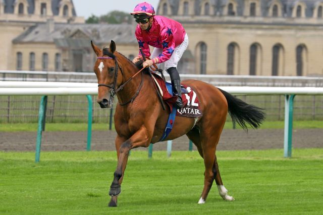 Arrow Eagle unter Cristian Demuro in Chantilly. www.galoppfoto.de - Sandra Scherning