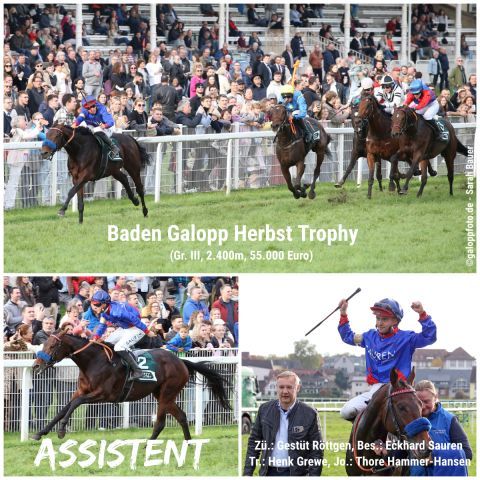 Landet in der Badener Herbst Trophy seinen dritten Gruppesieg: Assistent mit Thore Hammer-Hansen in den Farben von Eckhard Sauen für Trainer Henk Grewe. ©galoppfoto - Sarah Bauer