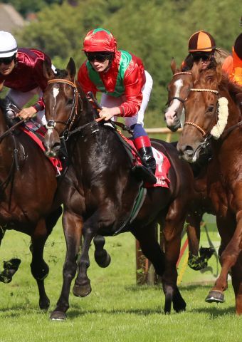 Baltic Storm beim Start zum swb-Derby-Trial mit Frederik Tylicki in Bremen. Foto: Dr. Jens Fuchs