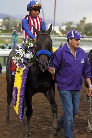 Breeders' Cup-Sieger Bayern hat seine Rennkarriere beendet. www.galoppfoto.de - Petr Guth 