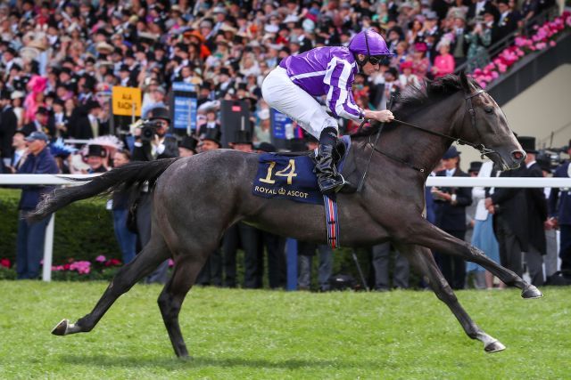 Das war schon erstaunlich: Bedtime Story gewinnt die Chesham Stakes. Foto: Racenews/Megan Coggin