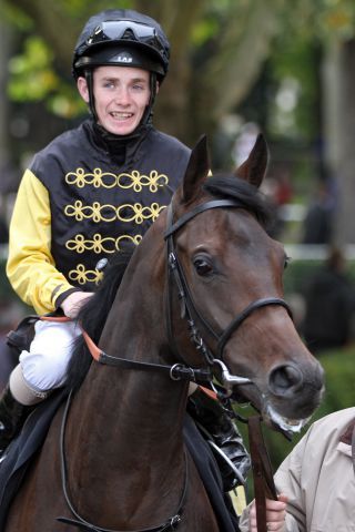 Bekommt eine Wild Card für die Arqana-Herbstauktion: North Germany (mittlerweile im Besitz von Conny Brandstätter). www.galoppfoto.de (Archiv)- Frank Sorge