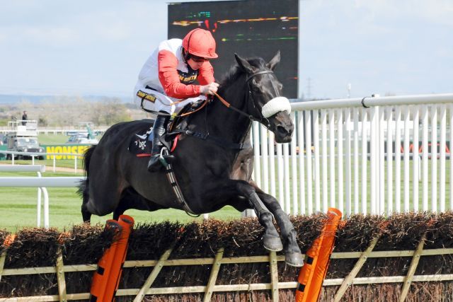 Big Buck's mit Ruby Walsh war der Superstar des dreitägigen Festivals. www.galoppfoto.de - John James Clark