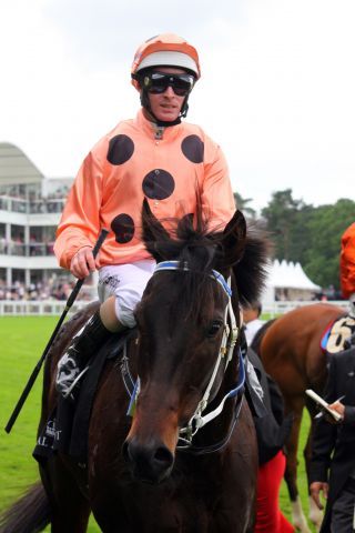 Black Caviar und Luke Nolen nach Sieg Nummer 22 in Royal Ascot. www.galoppfoto.de - Sandra Scherning