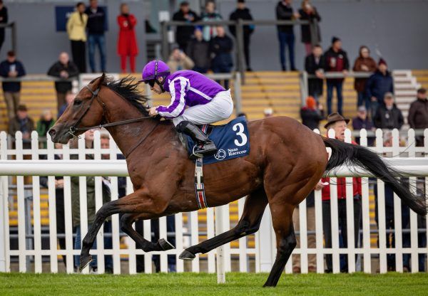 Bounty kommt in Naas zum Zuge. Foto: courtesy by Coolmore