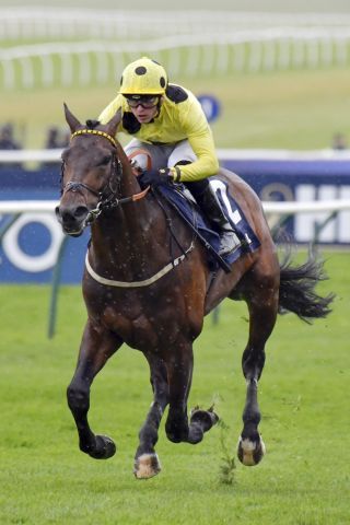 Caviar Heights holt sich am Freitag die Newmarket Stakes. www.galoppfoto.de - JJ Clark 