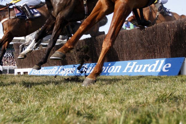 Cheltenham ist das Mekka des Hindernissports in England. www.galoppfoto.de - Balogh