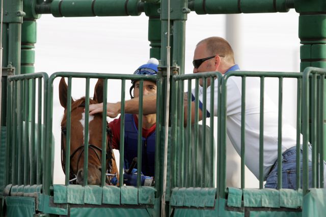 Asmussens Co-Trainer Scott Blasi beruhigt Curlin in der Startbox auf der Rennbahn Nad Al Sheba. www.galoppfoto.de (Archiv) - Frank Sorge