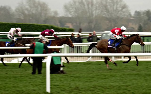 Coneygree holt sich den Cheltenham Gold Cup. Foto: LeeAnn Day-Whistler