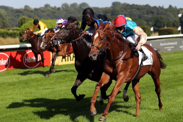 Gehen mit besten Referenzen ins Rennen: Daktani (vorn) gewinnt mit Eugen Frank den Düsseldorfer Juniorenpreis knapp vor Empire  Hurricane mit Eddie Pedroza. www.duesseldorf.de - www.klatuso.com