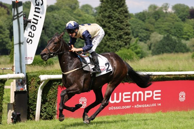 Darnation geht mit der Nr. 1 in die Diana, nachdem sie mit Adrie de Vries ebendort schon in den klassischen WEMPE German 1000 Guineas erfolgreich war. ©galoppfoto - Stephanie Gruttmann